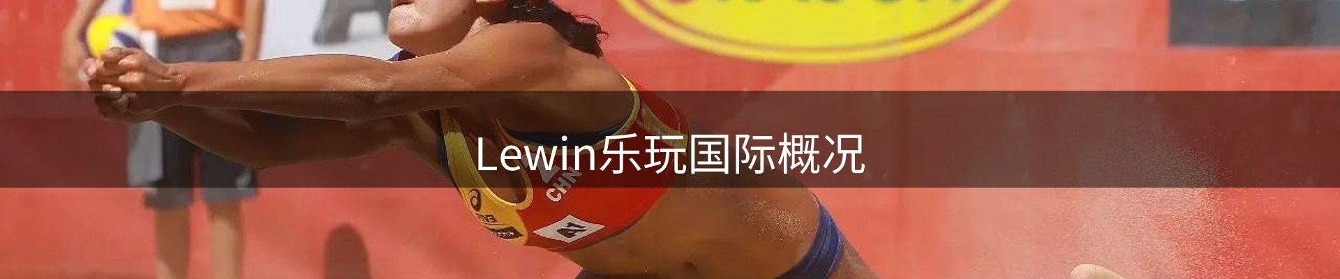 Lewin乐玩国际概况